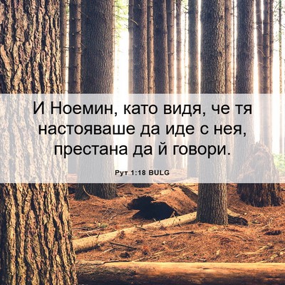 Picture 06 - Рут 1:18 BULG - И Ноемин, като видя, че тя - Bible Verse Picture