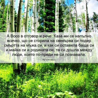 Picture 06 - Рут 2:11 BULG - А Вооз в отговор и рече: - Bible Verse Picture