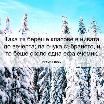 Picture 06 - Рут 2:17 BULG - Така тя береше класове в - Bible Verse Picture