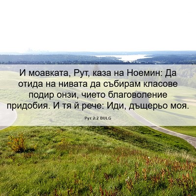 Picture 06 - Рут 2:2 BULG - И моавката, Рут, каза на - Bible Verse Picture