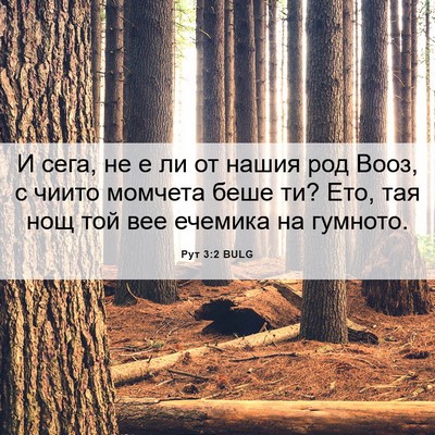 Picture 06 - Рут 3:2 BULG - И сега, не е ли от нашия род - Bible Verse Picture