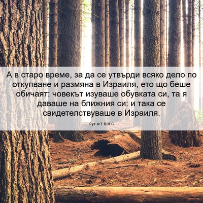 Picture 06 - Рут 4:7 BULG - А в старо време, за да се - Bible Verse Picture