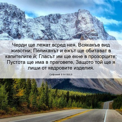 Picture 06 - Софоний 2:14 BULG - Черди ще лежат всред нея, - Bible Verse Picture