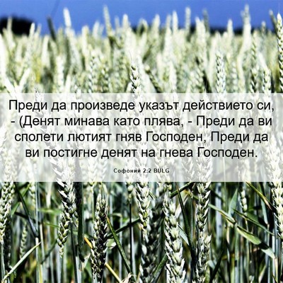 Picture 06 - Софоний 2:2 BULG - Преди да произведе указът - Bible Verse Picture