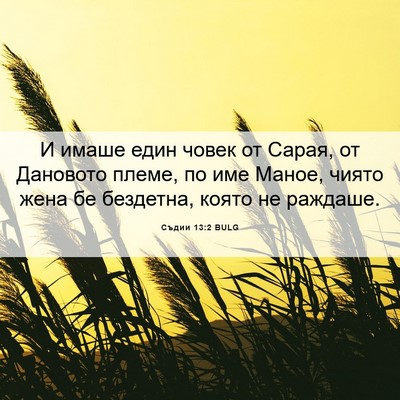 Picture 06 - Съдии 13:2 BULG - И имаше един човек от - Bible Verse Picture