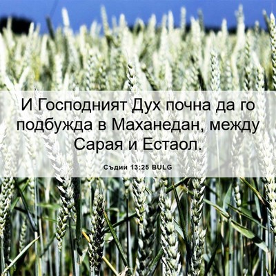 Picture 06 - Съдии 13:25 BULG - И Господният Дух почна да - Bible Verse Picture