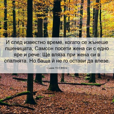 Picture 06 - Съдии 15:1 BULG - И след известно време, - Bible Verse Picture