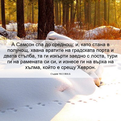 Picture 06 - Съдии 16:3 BULG - А Самсон спа до среднощ; и, - Bible Verse Picture