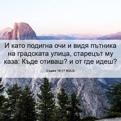 Picture 06 - Съдии 19:17 BULG - И като подигна очи и видя - Bible Verse Picture