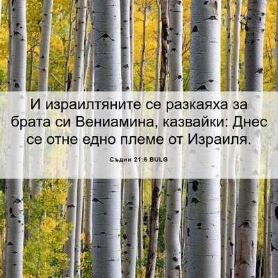 Picture 06 - Съдии 21:6 BULG - И израилтяните се разкаяха - Bible Verse Picture