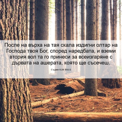 Picture 06 - Съдии 6:26 BULG - После на върха на тая скала - Bible Verse Picture