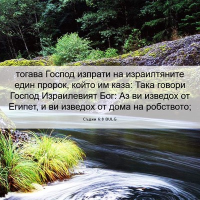 Picture 06 - Съдии 6:8 BULG - тогава Господ изпрати на - Bible Verse Picture