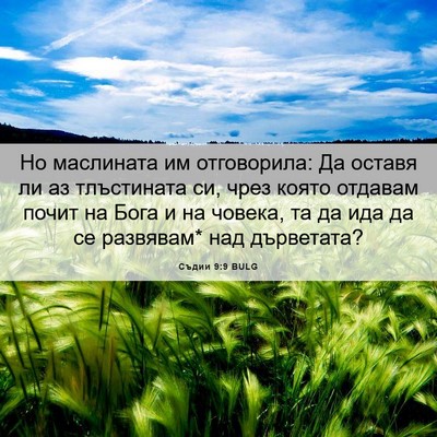 Picture 06 - Съдии 9:9 BULG - Но маслината им - Bible Verse Picture