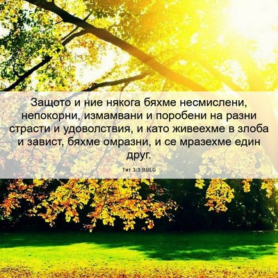 Picture 06 - Тит 3:3 BULG - Защото и ние някога бяхме - Bible Verse Picture