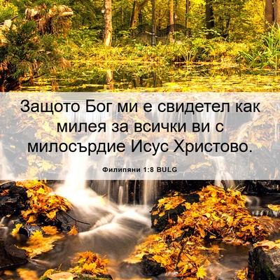 Picture 06 - Филипяни 1:8 BULG - Защото Бог ми е свидетел - Bible Verse Picture