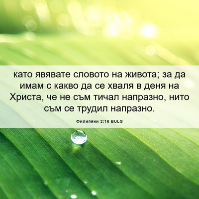 Picture 06 - Филипяни 2:16 BULG - като явявате словото на - Bible Verse Picture