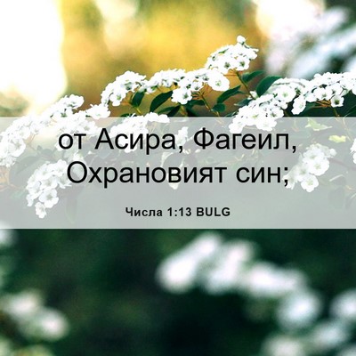 Picture 06 - Числа 1:13 BULG - от Асира, Фагеил, - Bible Verse Picture