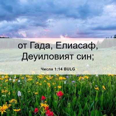 Picture 06 - Числа 1:14 BULG - от Гада, Елиасаф, - Bible Verse Picture