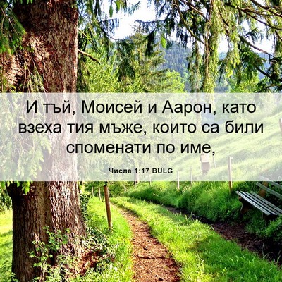 Picture 06 - Числа 1:17 BULG - И тъй, Моисей и Аарон, като - Bible Verse Picture