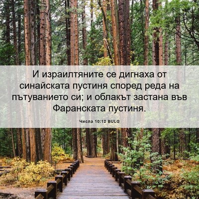 Picture 06 - Числа 10:12 BULG - И израилтяните се дигнаха - Bible Verse Picture