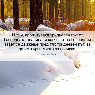 Picture 06 - Числа 10:33 BULG - И тъй, пропътуваха - Bible Verse Picture