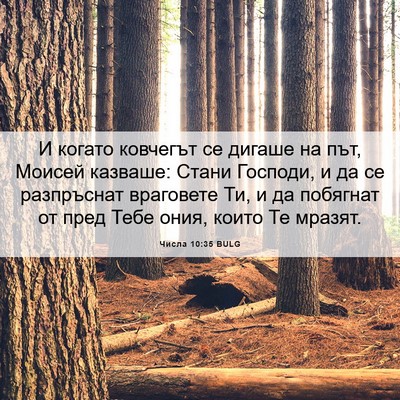 Picture 06 - Числа 10:35 BULG - И когато ковчегът се - Bible Verse Picture