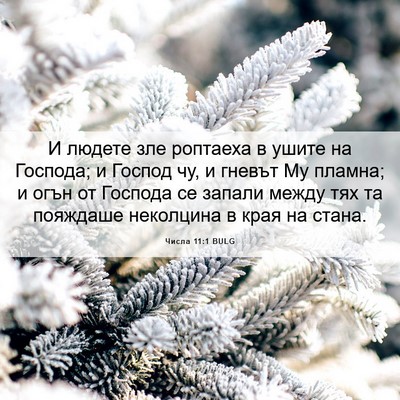 Picture 06 - Числа 11:1 BULG - И людете зле роптаеха в - Bible Verse Picture