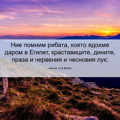 Picture 06 - Числа 11:5 BULG - Ние помним рибата, която - Bible Verse Picture