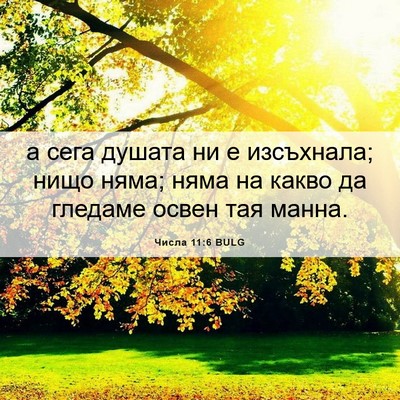 Picture 06 - Числа 11:6 BULG - а сега душата ни е - Bible Verse Picture