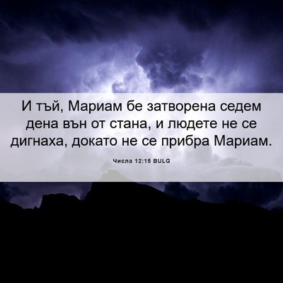 Picture 06 - Числа 12:15 BULG - И тъй, Мариам бе затворена - Bible Verse Picture