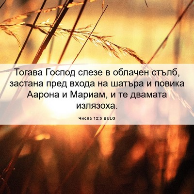 Picture 06 - Числа 12:5 BULG - Тогава Господ слезе в - Bible Verse Picture