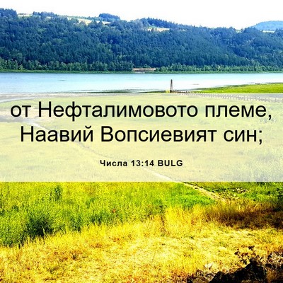 Picture 06 - Числа 13:14 BULG - от Нефталимовото племе, - Bible Verse Picture