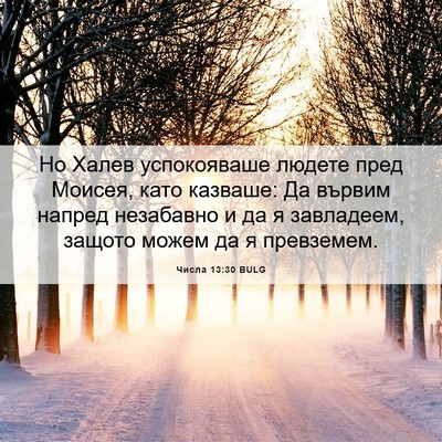 Picture 06 - Числа 13:30 BULG - Но Халев успокояваше - Bible Verse Picture