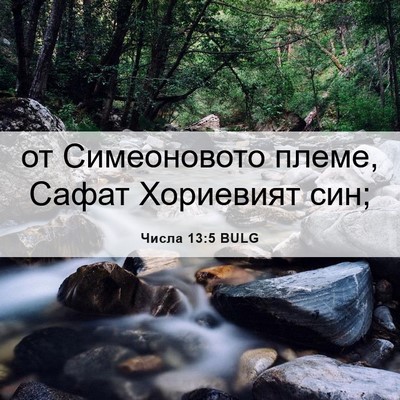 Picture 06 - Числа 13:5 BULG - от Симеоновото племе, - Bible Verse Picture