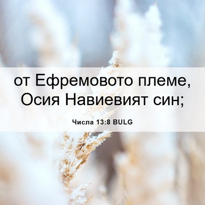 Picture 06 - Числа 13:8 BULG - от Ефремовото племе, Осия - Bible Verse Picture