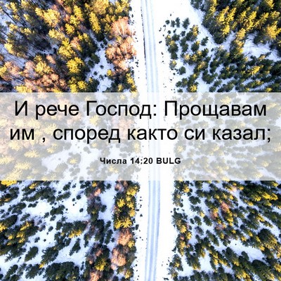 Picture 06 - Числа 14:20 BULG - И рече Господ: Прощавам им , - Bible Verse Picture