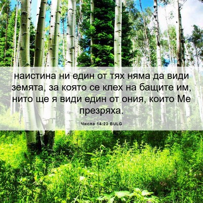 Picture 06 - Числа 14:23 BULG - наистина ни един от тях - Bible Verse Picture