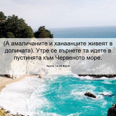 Picture 06 - Числа 14:25 BULG - (А амаличаните и - Bible Verse Picture