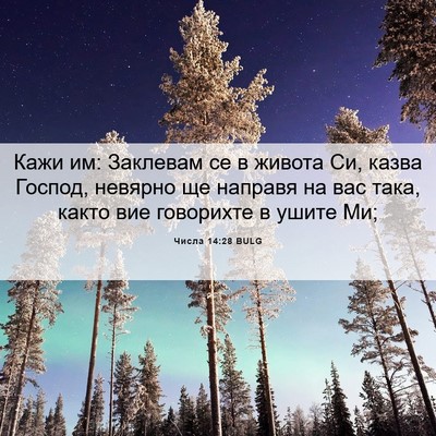 Picture 06 - Числа 14:28 BULG - Кажи им: Заклевам се в - Bible Verse Picture