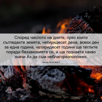 Picture 06 - Числа 14:34 BULG - Според числото на дните, - Bible Verse Picture