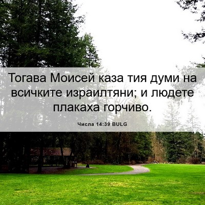 Picture 06 - Числа 14:39 BULG - Тогава Моисей каза тия - Bible Verse Picture