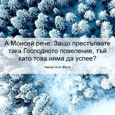 Picture 06 - Числа 14:41 BULG - А Моисей рече: Защо - Bible Verse Picture