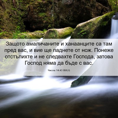 Picture 06 - Числа 14:43 BULG - Защото амаличаните и - Bible Verse Picture