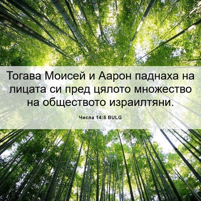 Picture 06 - Числа 14:5 BULG - Тогава Моисей и Аарон - Bible Verse Picture
