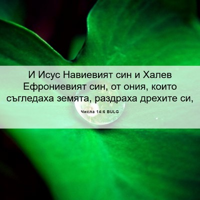 Picture 06 - Числа 14:6 BULG - И Исус Навиевият син и - Bible Verse Picture