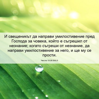 Picture 06 - Числа 15:28 BULG - И свещеникът да направи - Bible Verse Picture