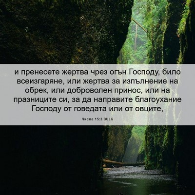 Picture 06 - Числа 15:3 BULG - и пренесете жертва чрез - Bible Verse Picture