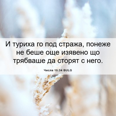 Picture 06 - Числа 15:34 BULG - И туриха го под стража, - Bible Verse Picture
