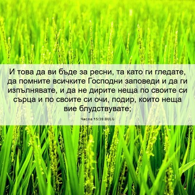 Picture 06 - Числа 15:39 BULG - И това да ви бъде за ресни, - Bible Verse Picture