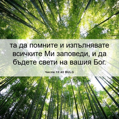 Picture 06 - Числа 15:40 BULG - та да помните и - Bible Verse Picture